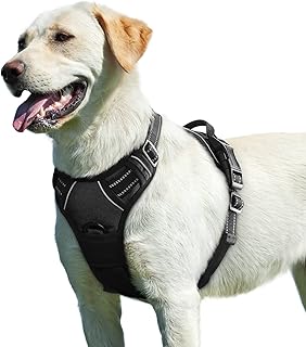 Eagloo Hundegeschirr L – Anti-Zug, sicher, verstellbar