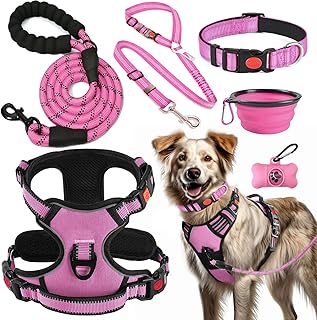 LOBEVE Anti-Zug Hundegeschirr Set – komplett & sicher