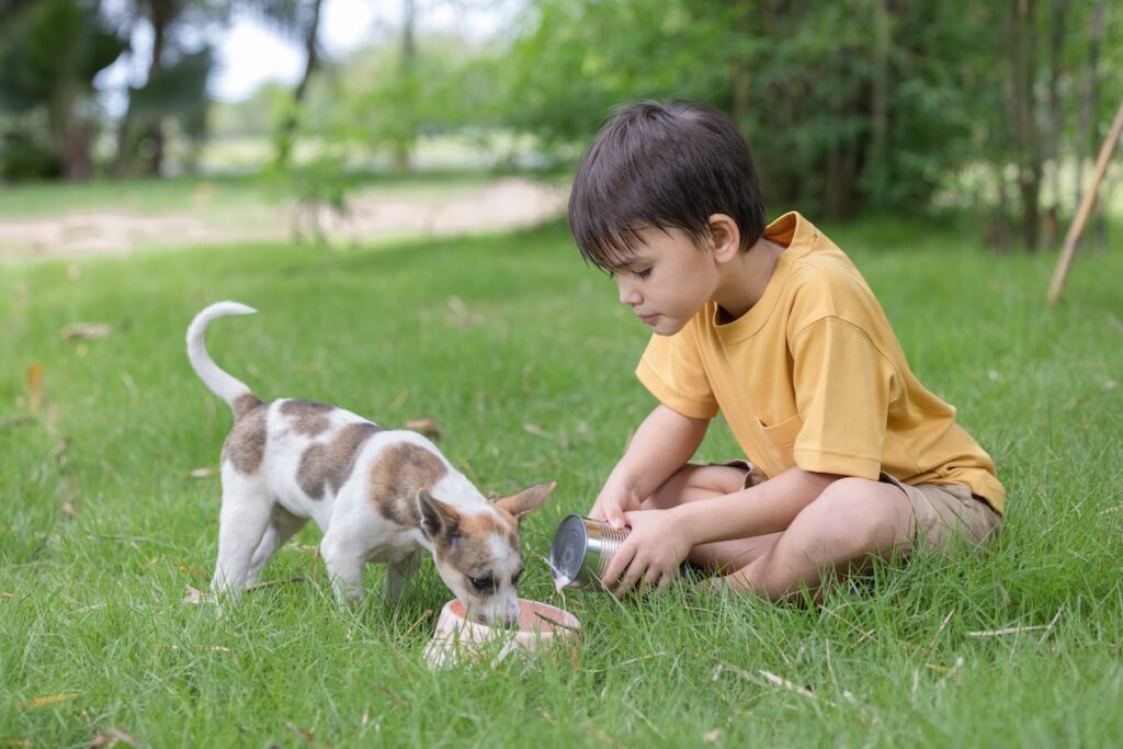 Hypoallergenes Hundefutter