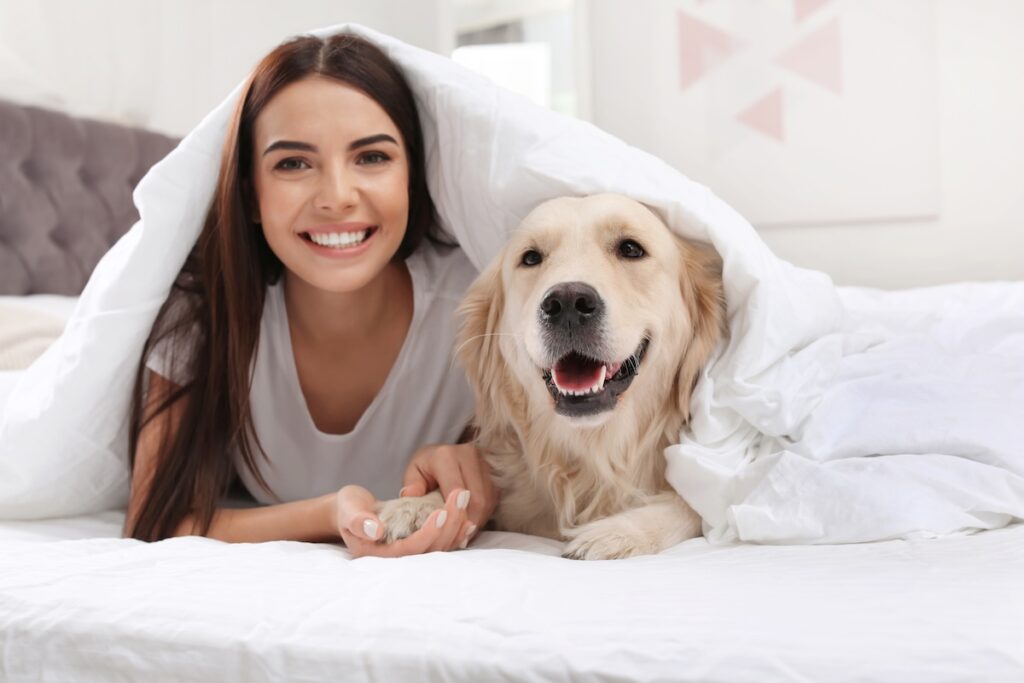Frau und Golden Retriever liegen gemeinsam unter einer Bettdecke