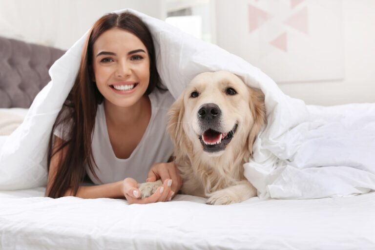 Frau und Golden Retriever liegen gemeinsam unter einer Bettdecke