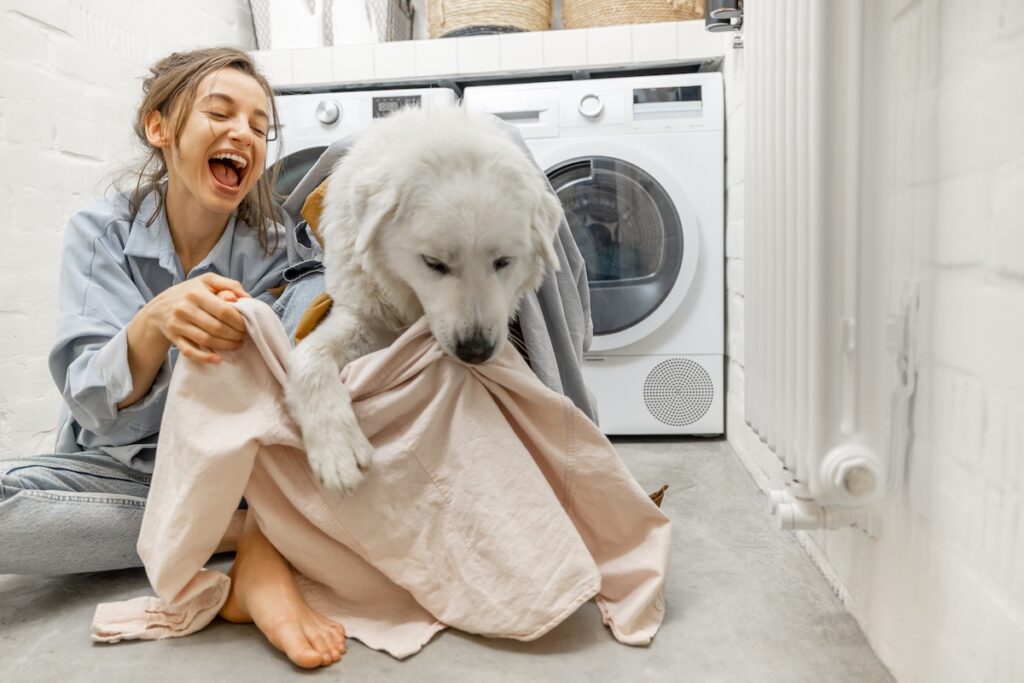 Frau sitzt mit ihrem Hund vor der Waschmaschine und hält eine Decke